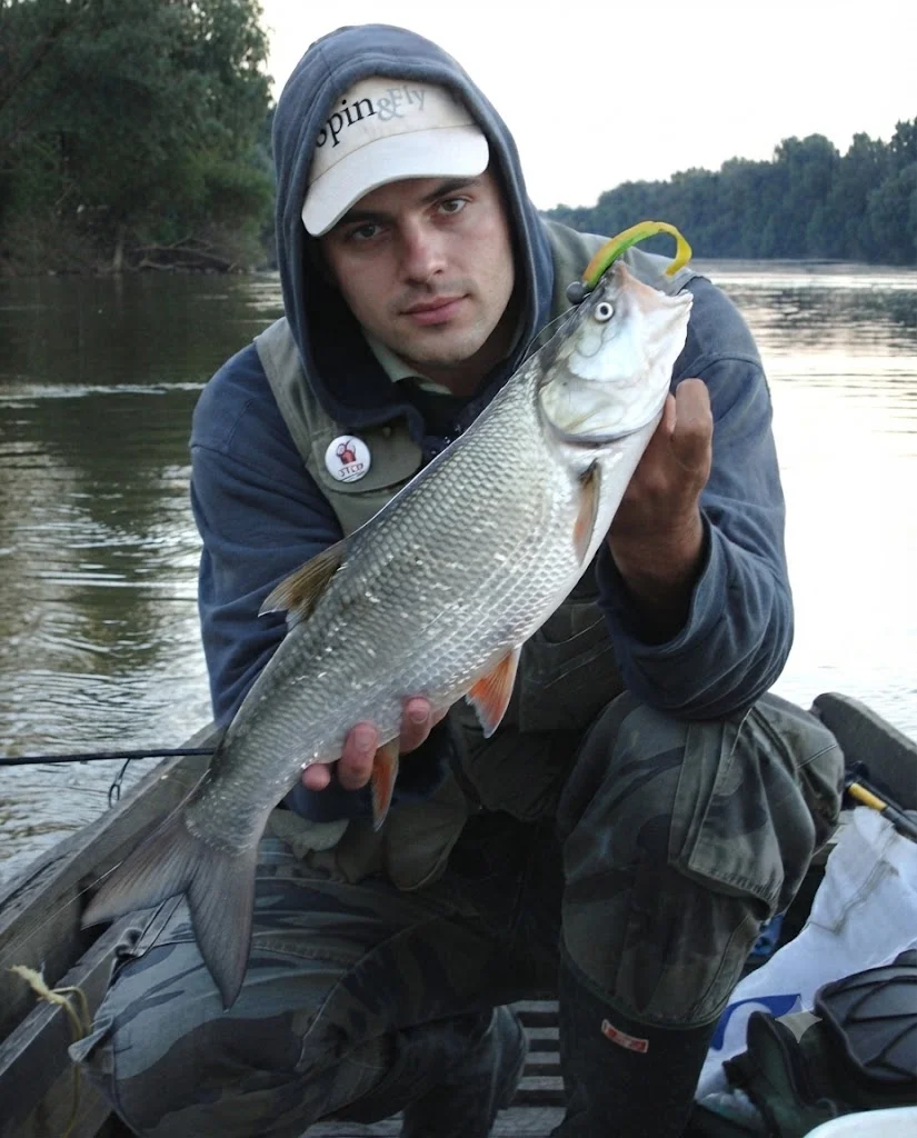 ORKA soft lures for Boleń (Leuciscus aspius)