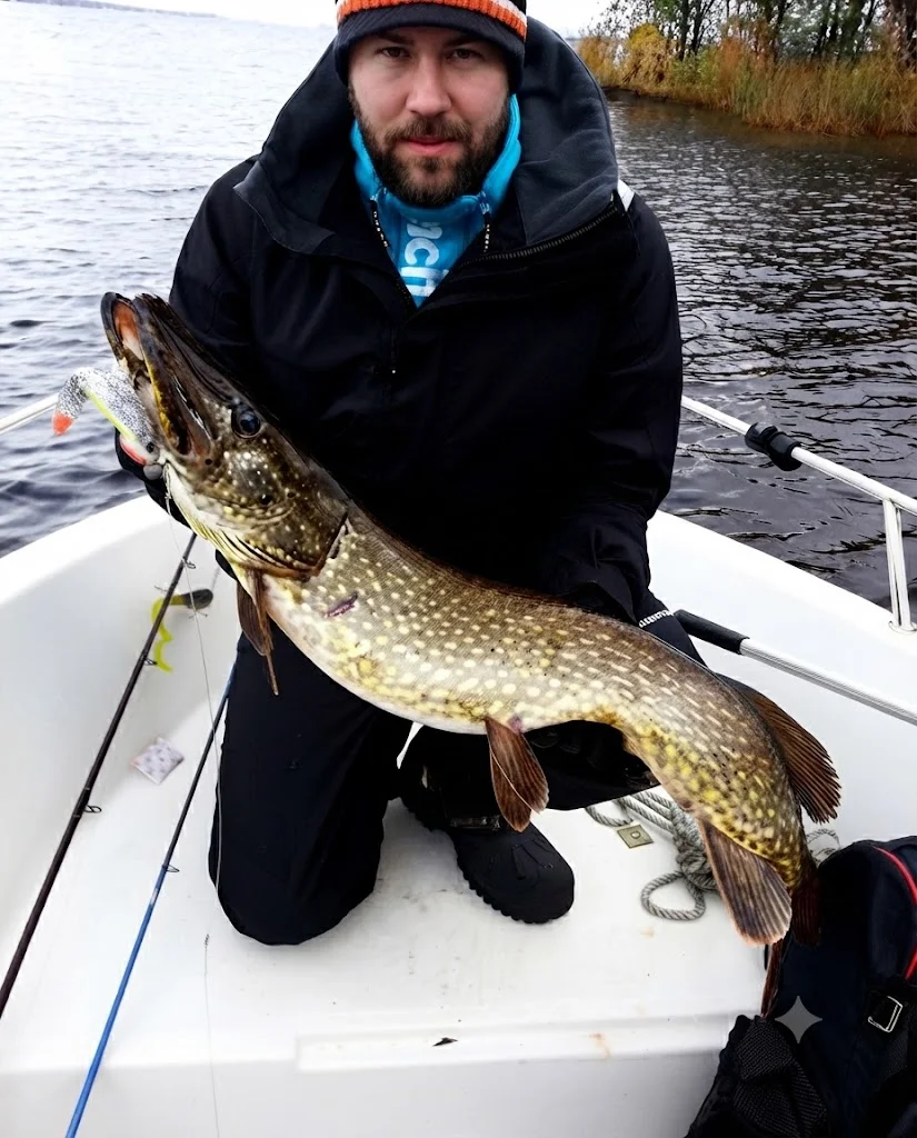 ORKA soft lures for Szczupak (Esox lucius)